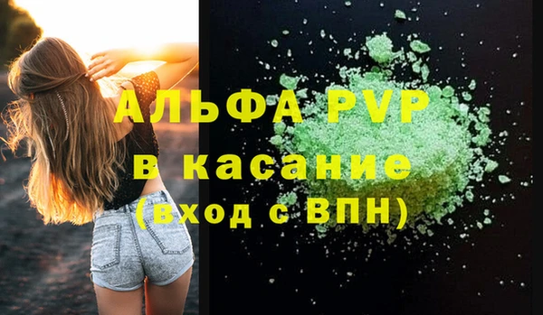амф Гусиноозёрск