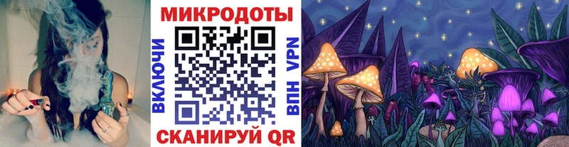 Галлюциногенные грибы GOLDEN TEACHER  где купить наркоту  Камень-на-Оби 