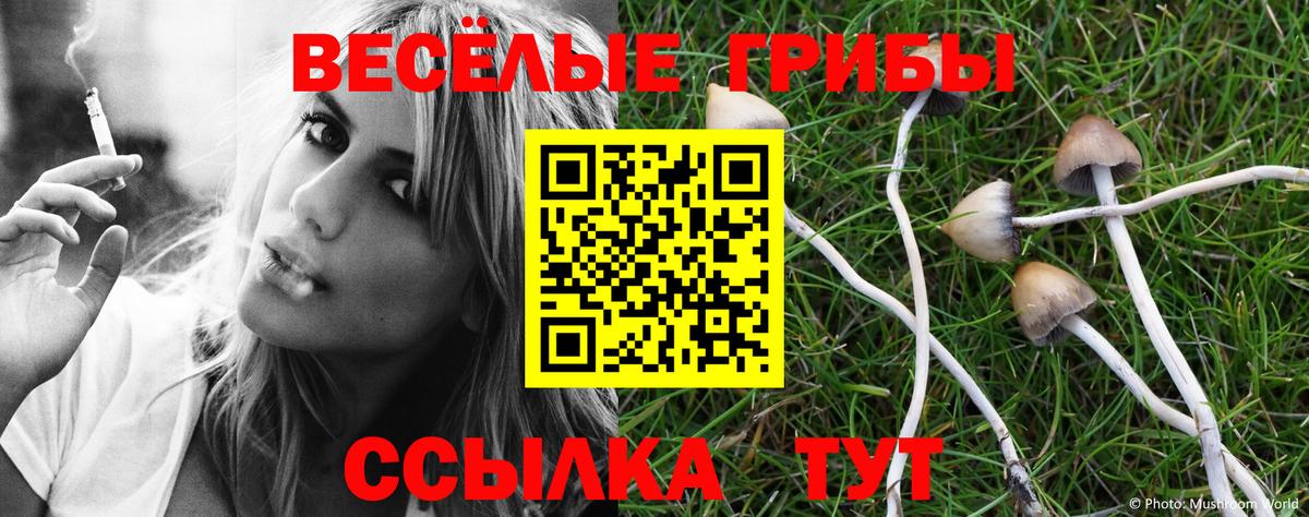 Галлюциногенные грибы GOLDEN TEACHER Камень-на-Оби