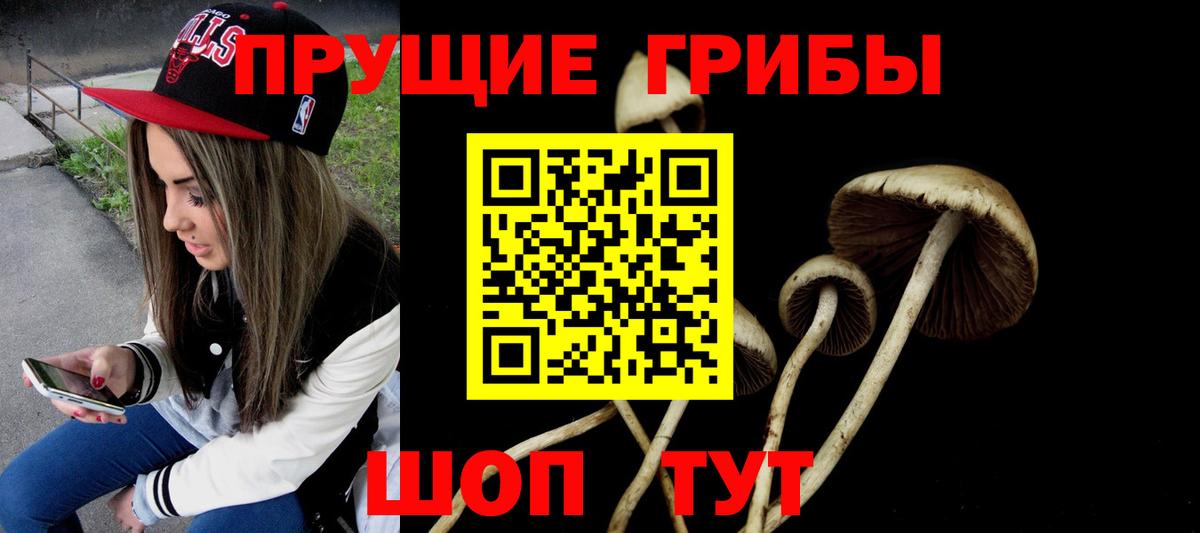 где можно купить   Галлюциногенные грибы Magic Shrooms  Вход с VPN  Камень-на-Оби 